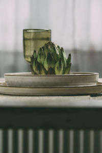 Close-up of organic food on plate