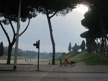 Bicycle on road by trees against sky