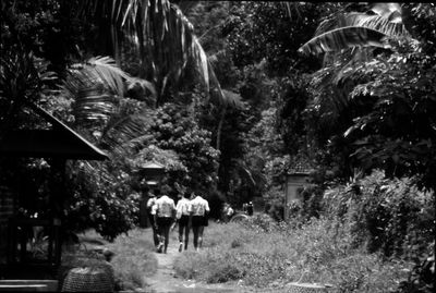 Rear view of people walking on plants