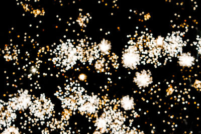 Low angle view of christmas tree against sky at night