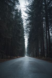 Empty road amidst trees in forest