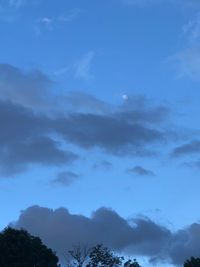 Low angle view of silhouette trees against blue sky