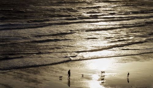 Scenic view of sea