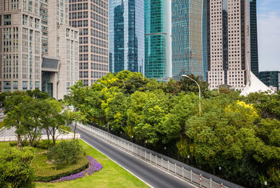 Trees and modern buildings in city