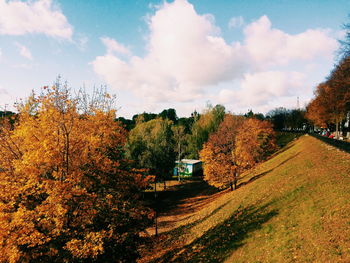 Autumn trees on field against cloudy sky