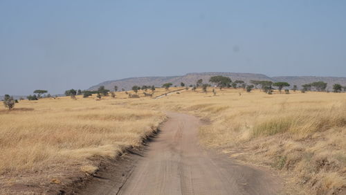 Road amidst field against clear sky