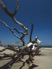 View of driftwood on beach against clear blue sky