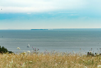 Scenic view of sea against sky