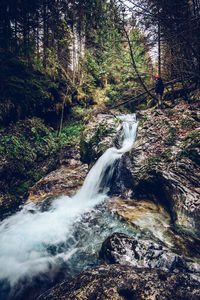 View of waterfall in forest