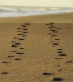 Close-up of sand on beach
