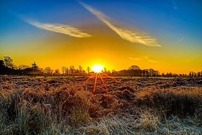 Scenic view of field against sky during sunset