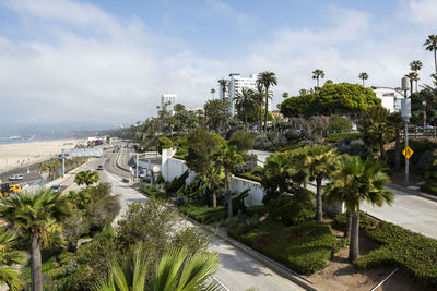 High angle view of palm trees by road against sky