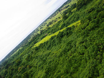 High angle view of sea shore