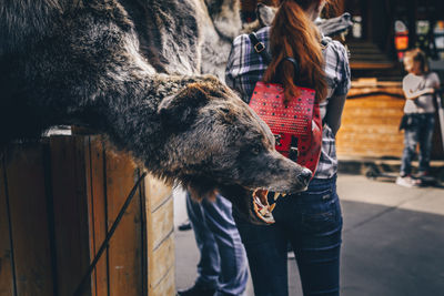 Stuffed brown bear on counter of an outdoor arts and crafts market