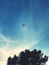 Low angle view of silhouette airplane flying in sky