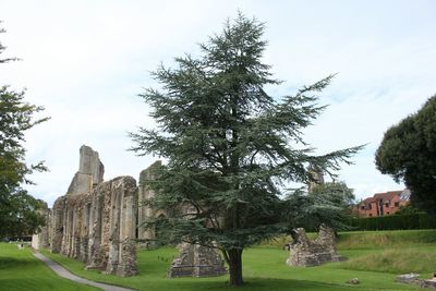 Ruins of old ruins