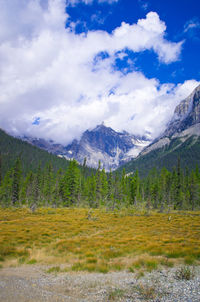 Scenic view of landscape against cloudy sky