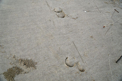 High angle view of footprints on sand