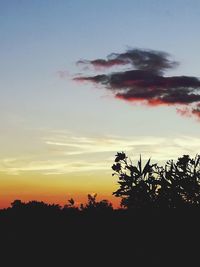 Silhouette trees on field against romantic sky at sunset