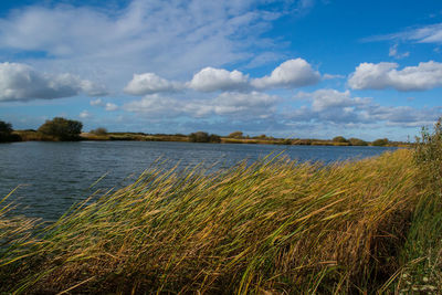 Scenic view of landscape against cloudy sky