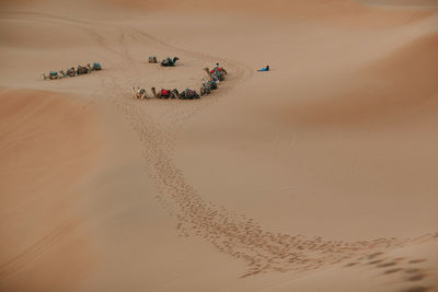 Caravan at sahara desert