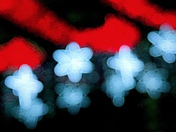 Close-up view of red leaves