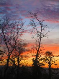 Silhouette bare trees against sky during sunset