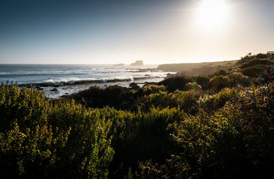 Scenic view of sea against sky