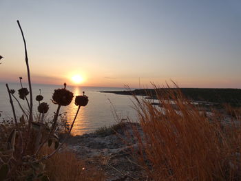 Scenic view of sea against sky during sunset