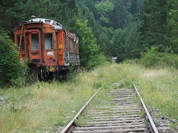 Train on railroad track by trees