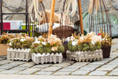 Potted plants in basket