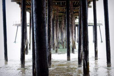 View of wooden posts on beach