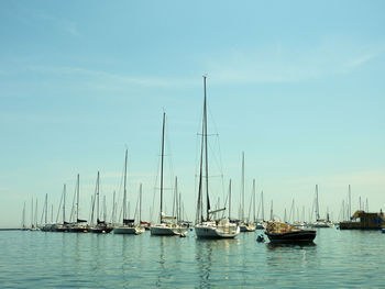 Sailboats in marina