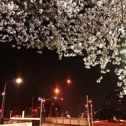 Low angle view of illuminated street light