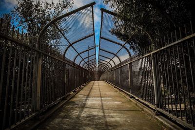 Walkway amidst trees