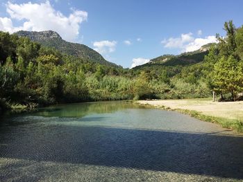 Scenic view of river by trees against sky