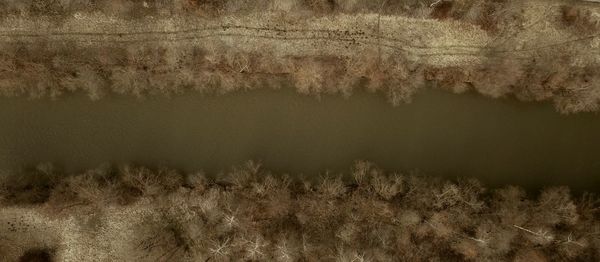 Full frame shot of reflection of trees