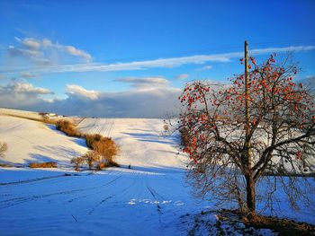 Scenic view of snow covered field against sky