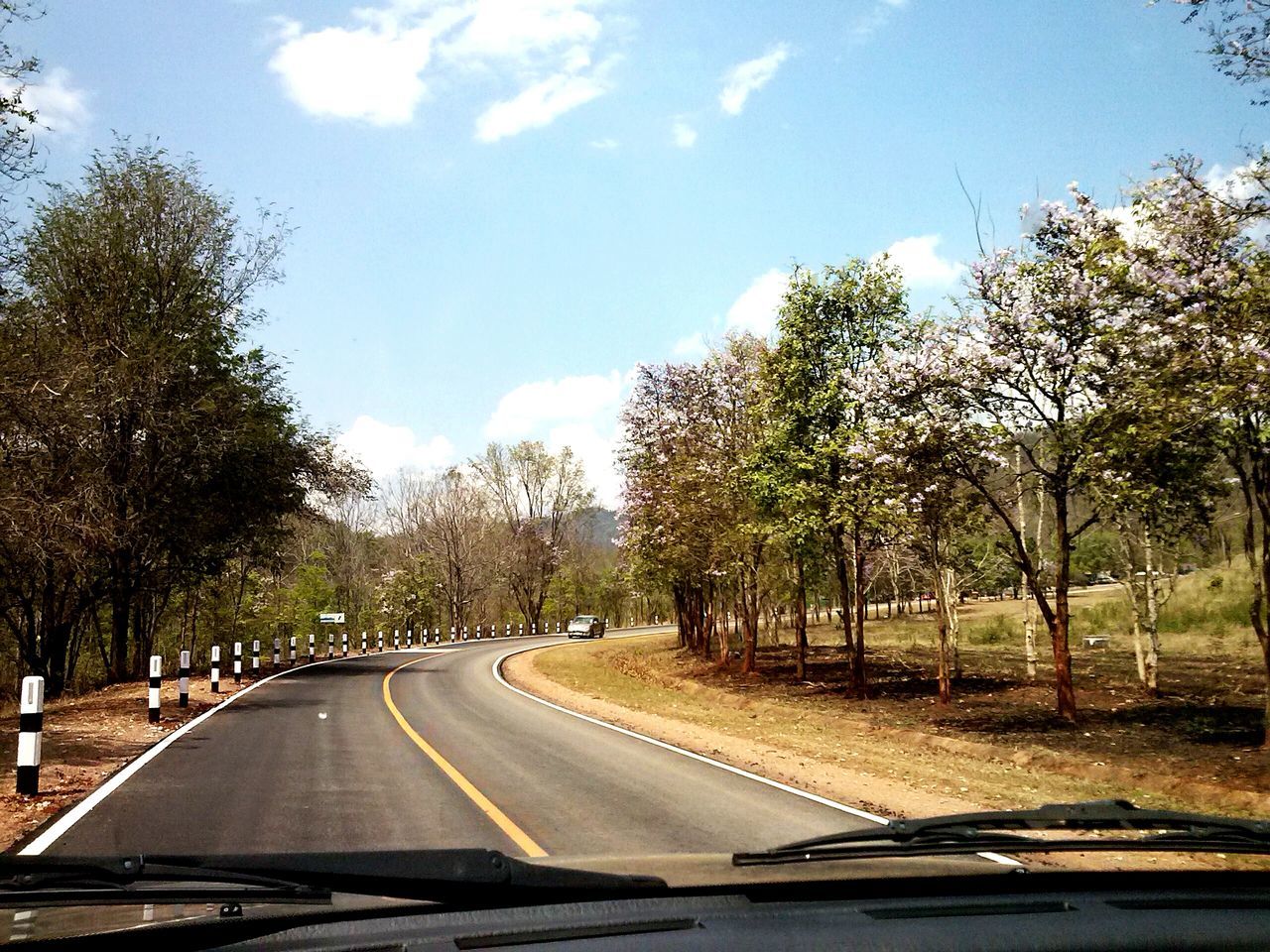 ROAD AMIDST TREES AGAINST SKY