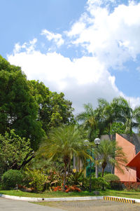 Palm trees by plants against sky