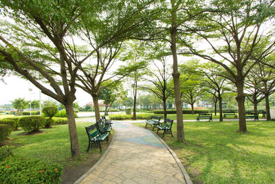 Footpath amidst trees on landscape