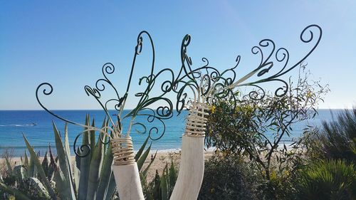 Close-up of plants against blue sky