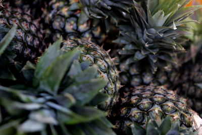 Full frame shot of pinapples