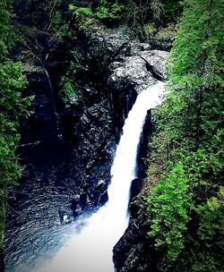 High angle view of waterfall in forest