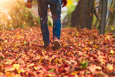 Low section of person standing on autumn leaf