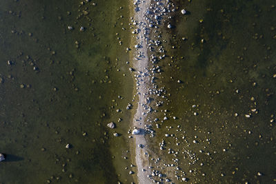 Full frame shot of water