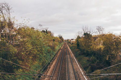 Railway tracks against trees and sky