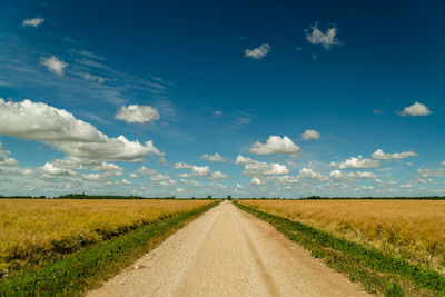 Road amidst agricultural field against sky