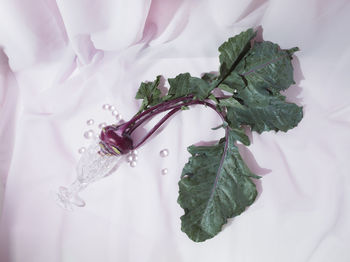 Still life with kohlrabi and wine glasses. creative concept of healthy food. flat lay