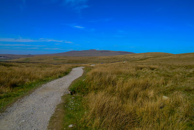 Dirt road amidst field against blue sky